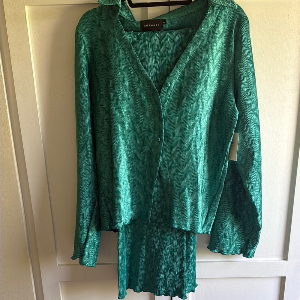 NWT Animari Camille Button Down Set | Green | Large